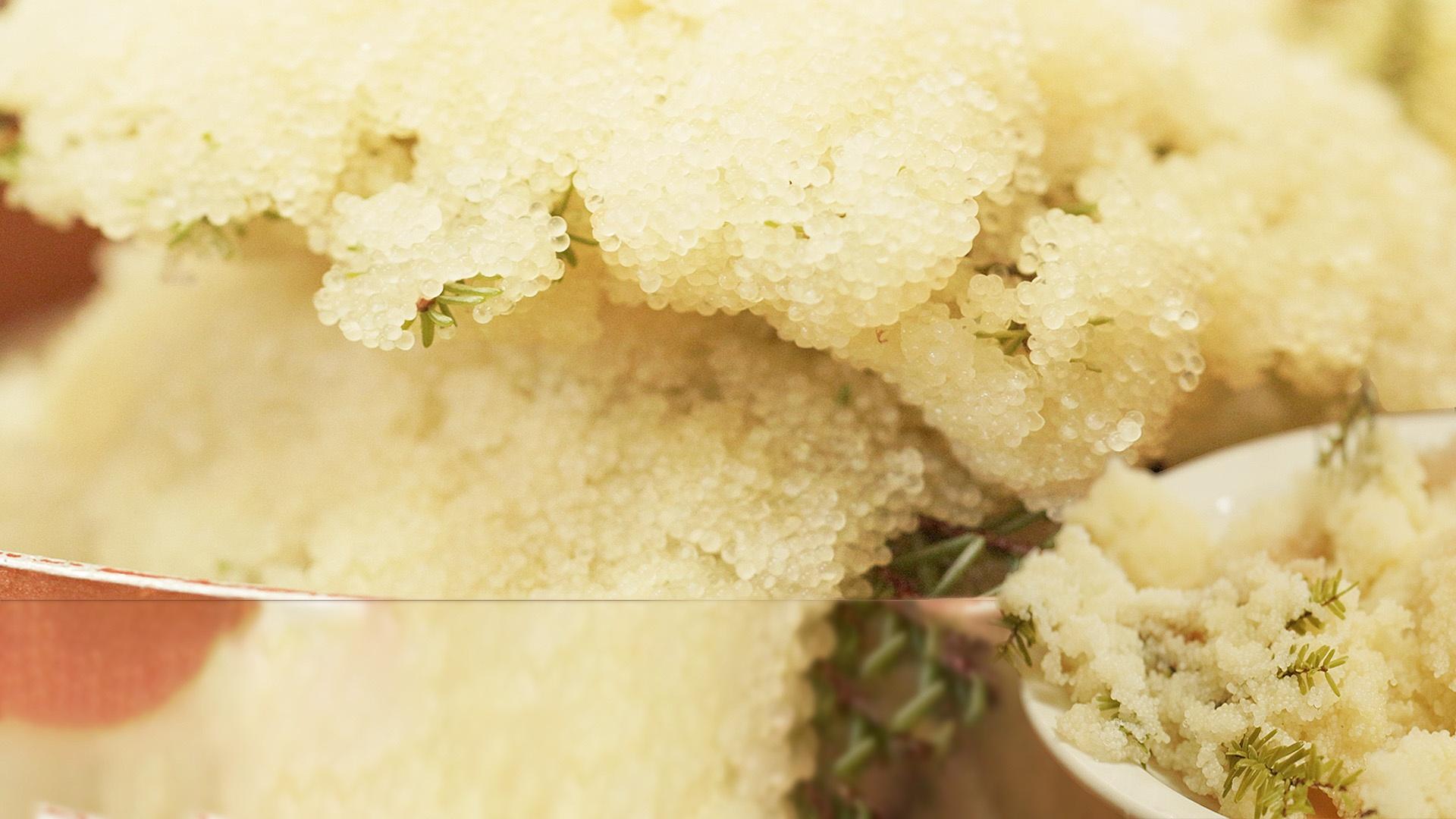 Spirit Plate — photo 5