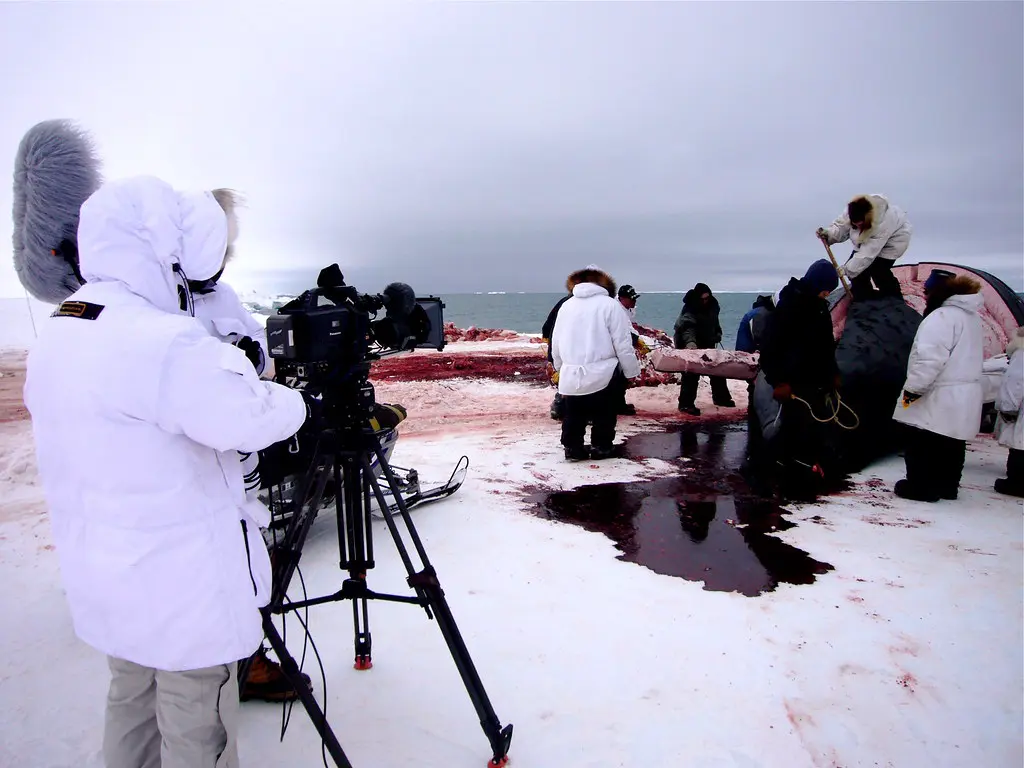 Filming an Arctic whale hunt on the ice