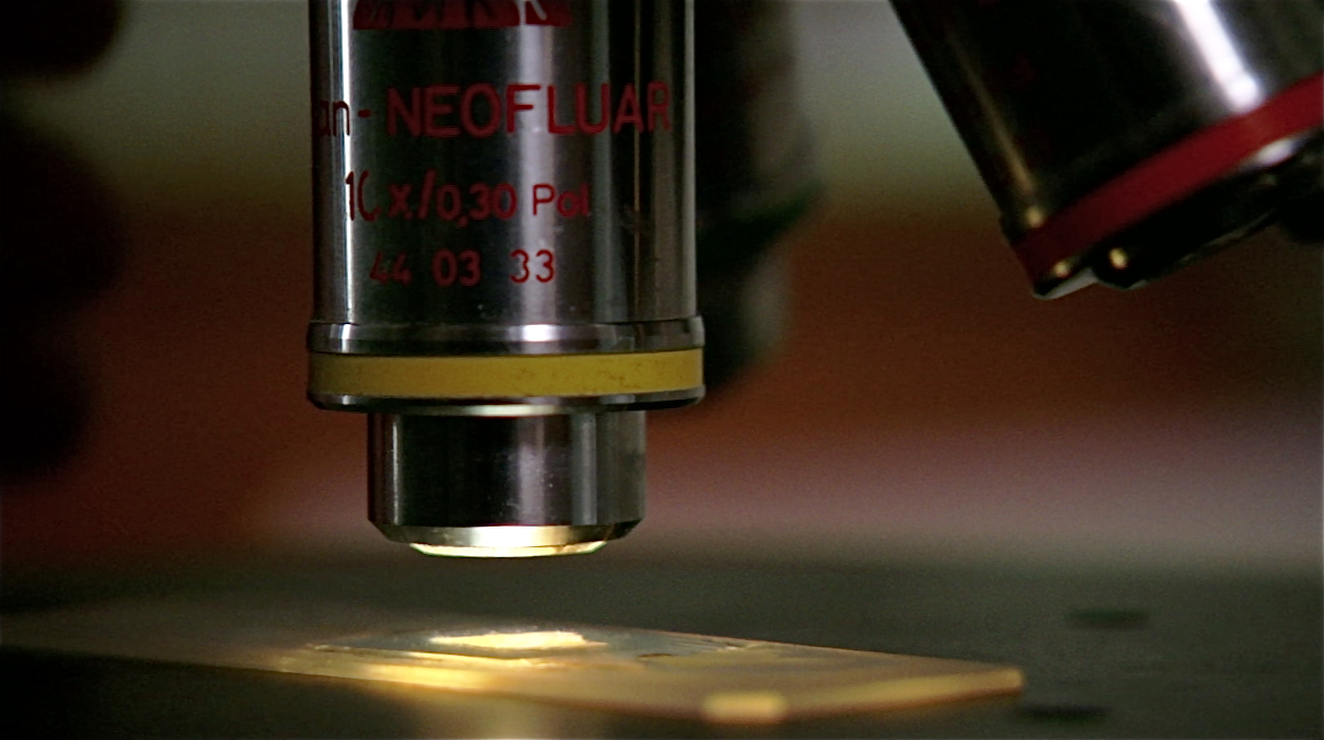 Plague Hunters — photo 1