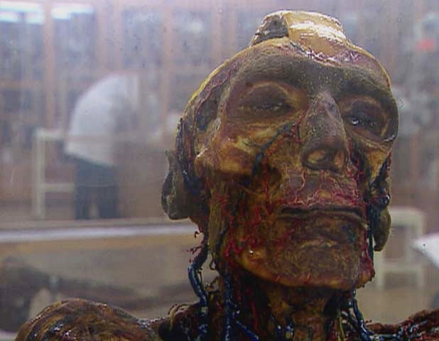 Riddles of the Dead: Series