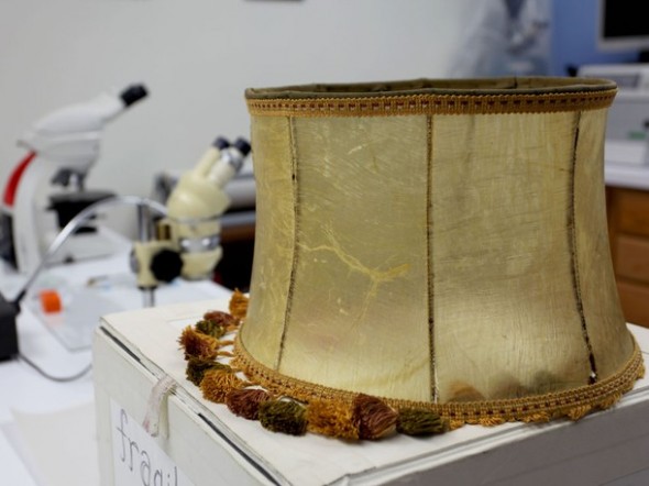 The Human Lampshade — photo 1