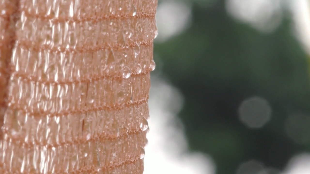 Water Apocalypse — photo 10