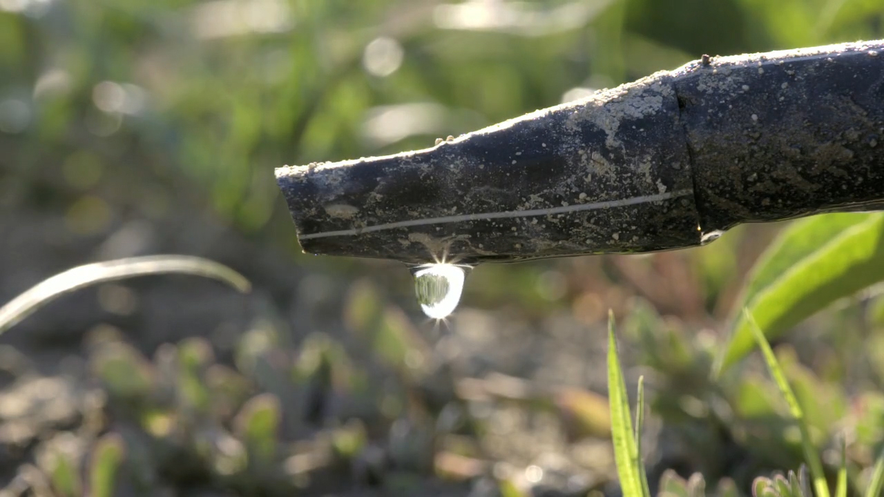 Water Apocalypse — photo 12