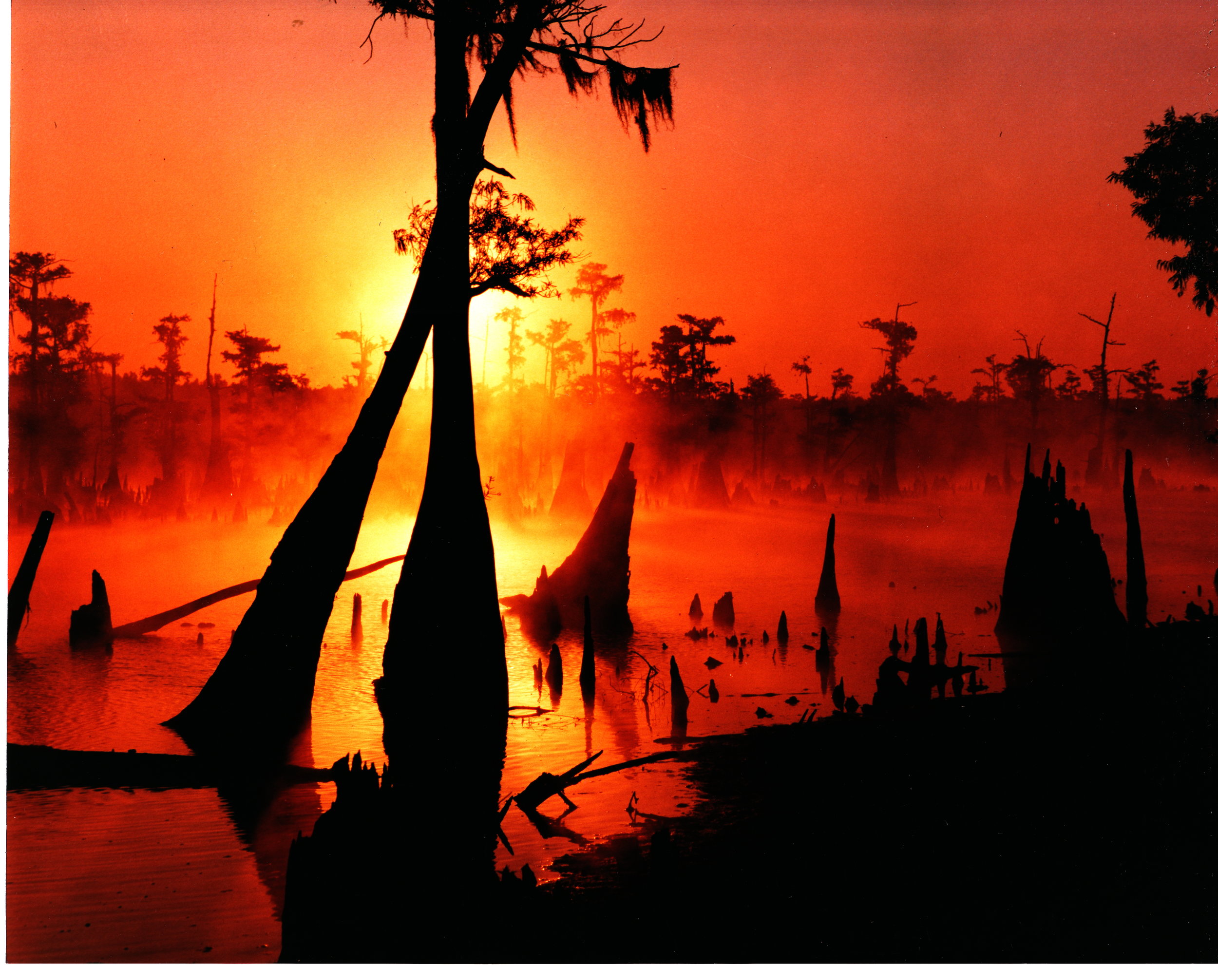 Wrestling the Mississippi